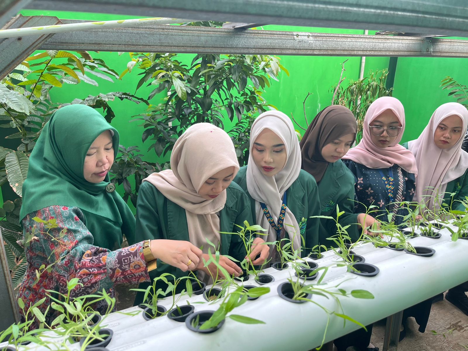 PROGRAM HIDROPONIK KKN-PPL TEMATIK MENGAJAR UIN RIL DORONG KEPEDULIAN LINGKUNGAN DI MTsN 1 BANDAR LAMPUNG